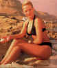 alex26.jpg (48978 Byte)