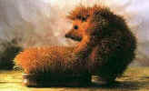 igel.jpg (23228 Byte)