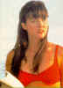 sd28.jpg (44828 Byte)