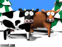 cows1024x768.jpg (132074 Byte)